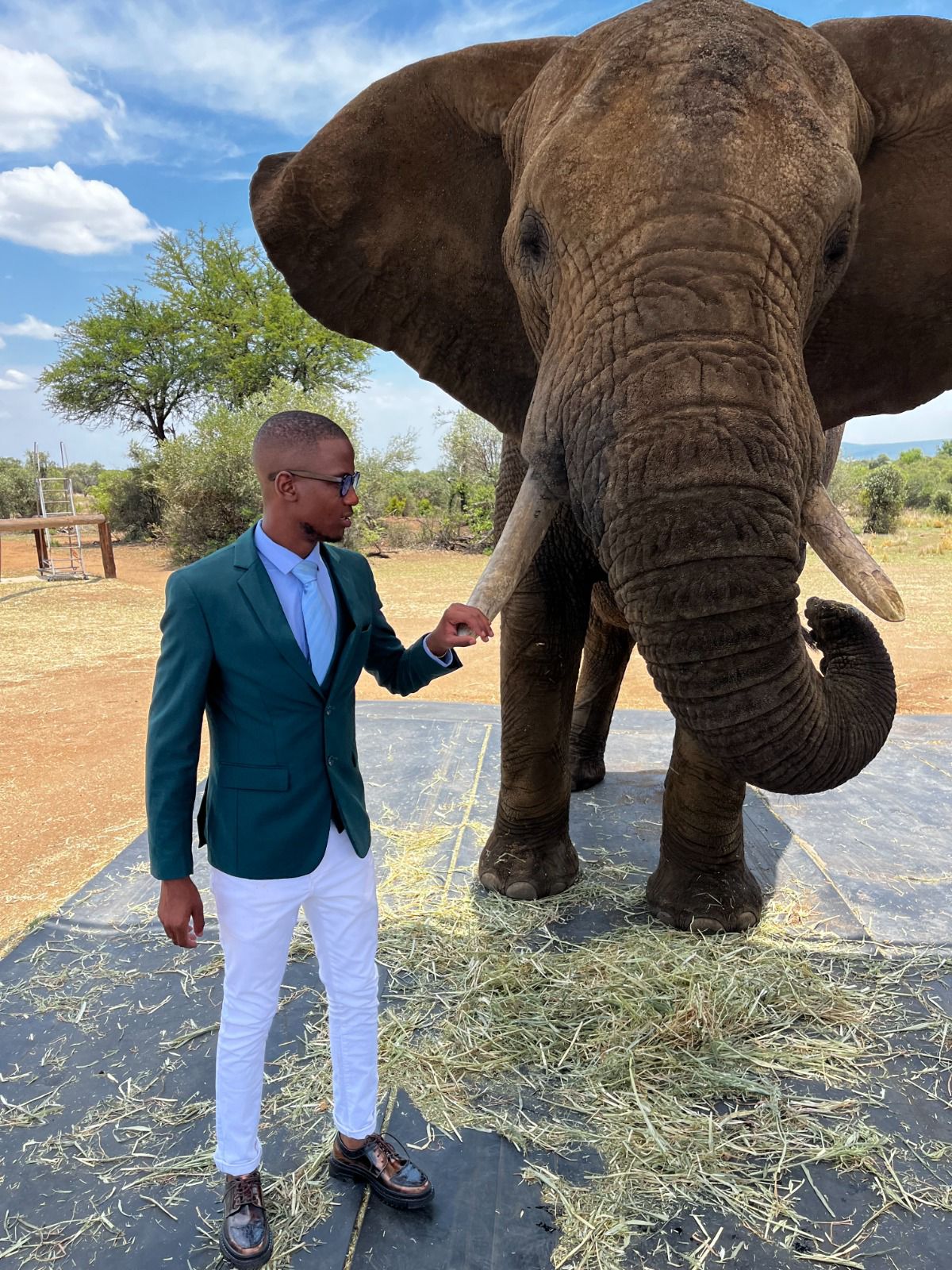 Mashaba Transfers & Tours gallery